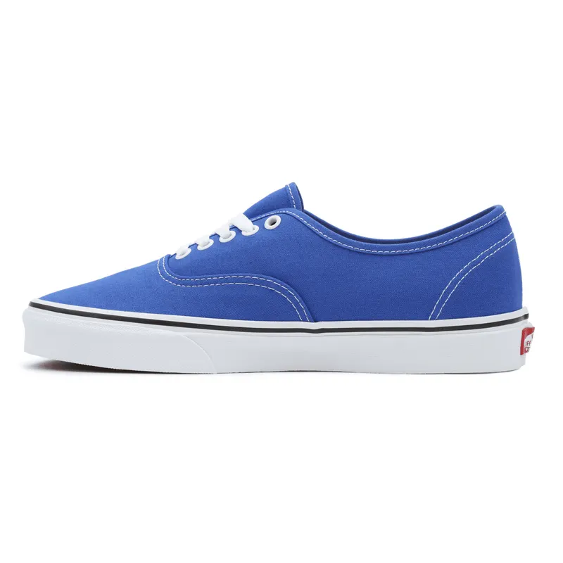 VANS Color Theory Authentic Blauw (VN0A5KS96RE)