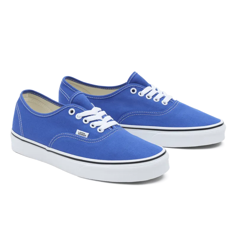 VANS Color Theory Authentic Blauw (VN0A5KS96RE)