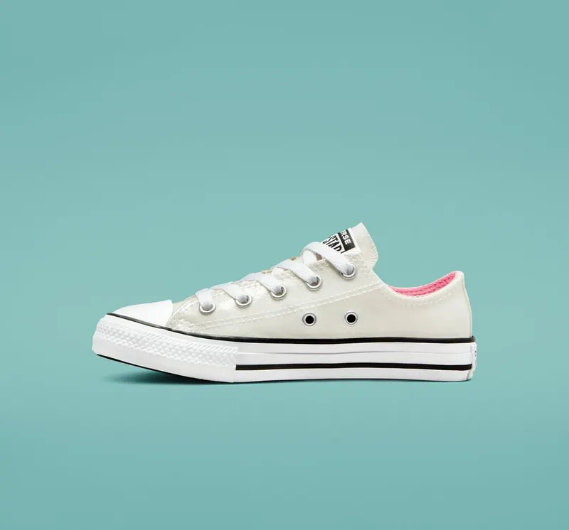 Converse Chuck Taylor All Star Glitter Zilver/roze/wit