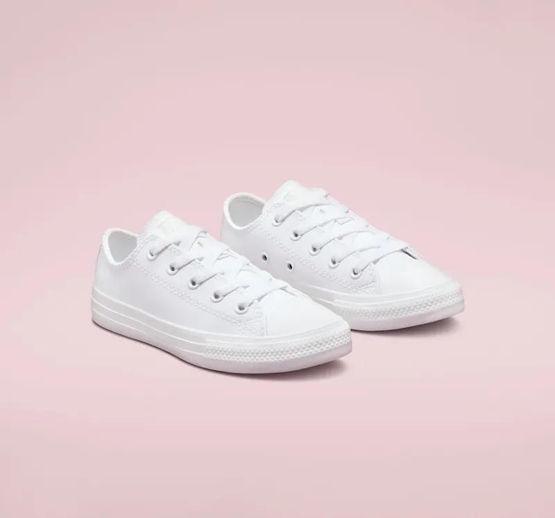 Converse Chuck Taylor All Star Leather Wit/wit/wit