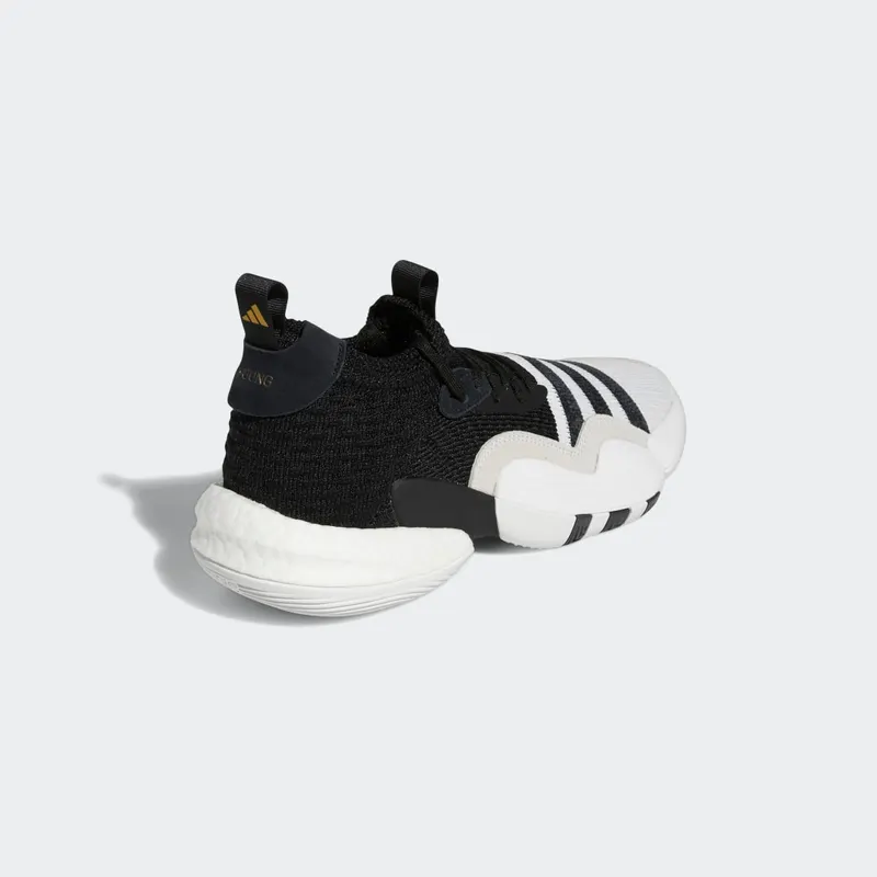 adidas Trae Young 2.0 Cloud White / Core Black / Matte Gold (H06477)
