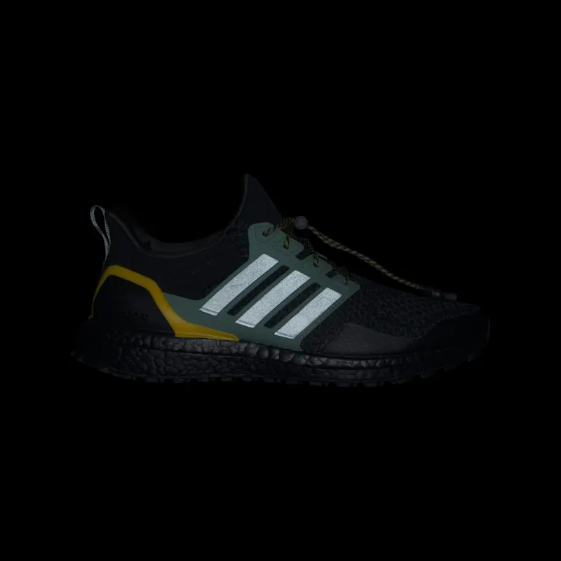 adidas Ultraboost 1.0 Core Black / Silver Green / Carbon (HQ4196)