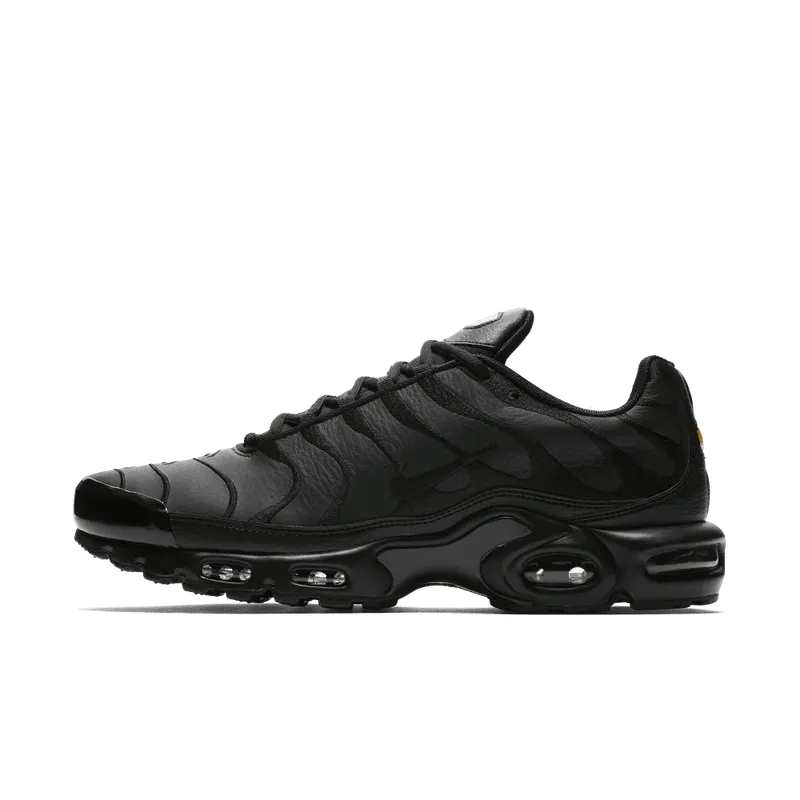 Nike Air Max Plus Zwart (AJ2029-001)