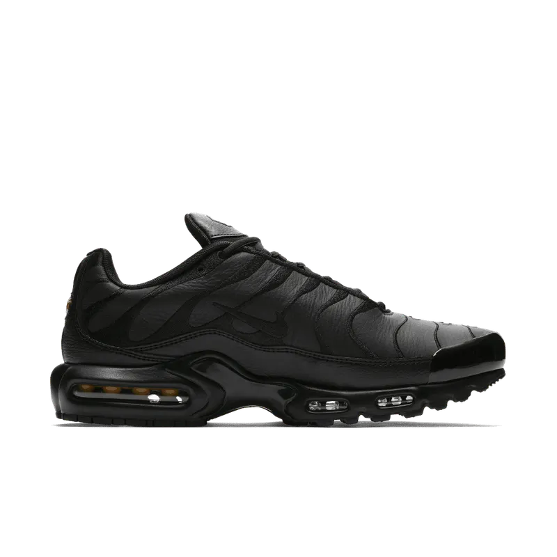 Nike Air Max Plus Zwart (AJ2029-001)