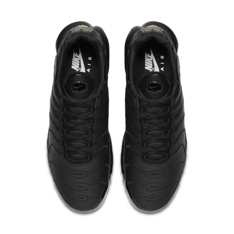 Nike Air Max Plus Zwart (AJ2029-001)