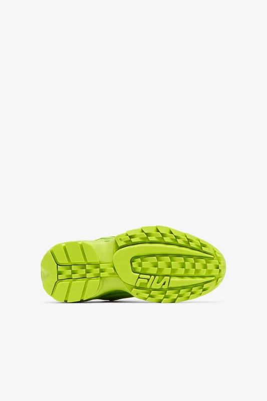 Fila Distruptor 2 Exp (3XM01813-300)