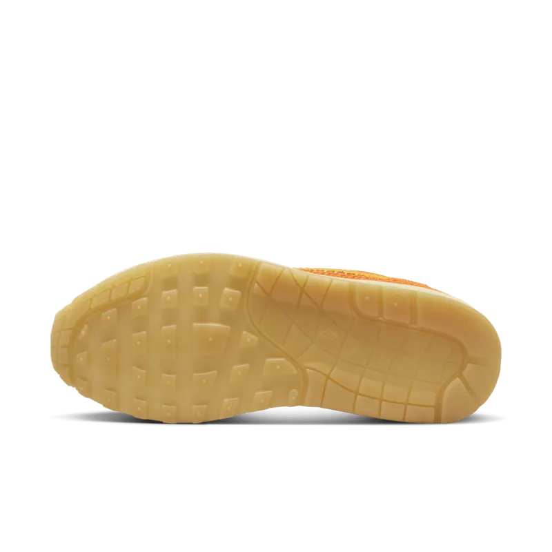 Nike Air Max 1 PRM ‘Somos Familia’ (DZ5352-847)