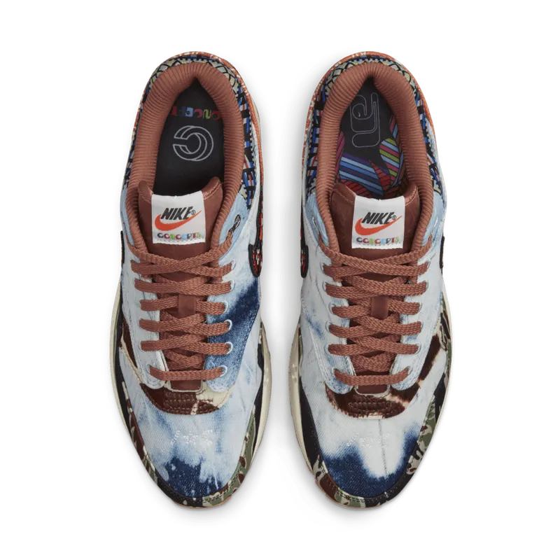 Nike x Concepts Air Max 1 SP Heavy (DN1803-900)