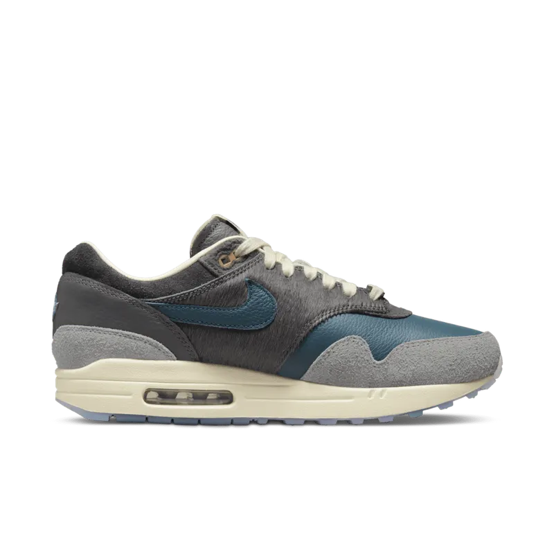 Nike Air Max 1 x Kasina Won Ang Grey (DQ8475-001)