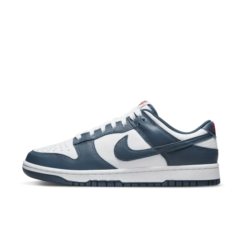Nike Dunk Low Valerian Blue (DD1391-400)
