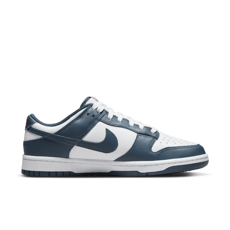 Nike Dunk Low Valerian Blue (DD1391-400)