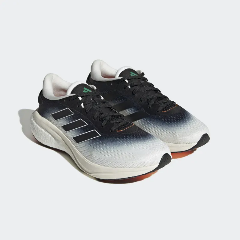 adidas Supernova 2.0 Non Dyed / Core Black / Court Green (GV9029)