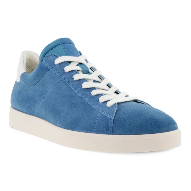 Blauw (52130460606)