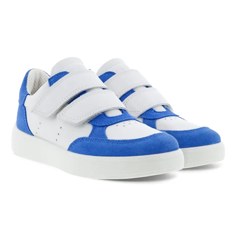 Blauw (70083260368)