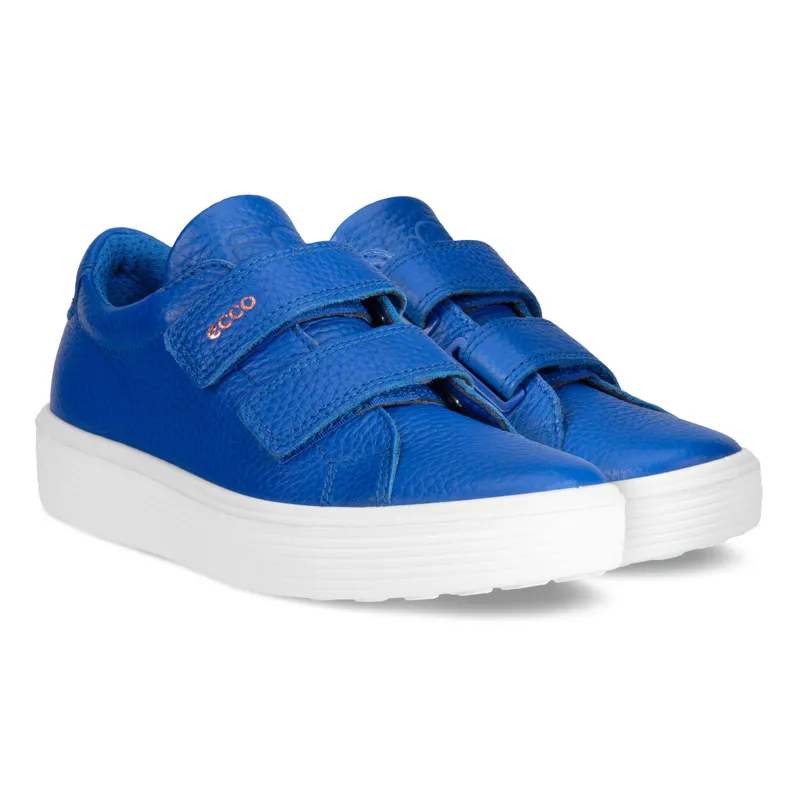 Blauw (71381201744)