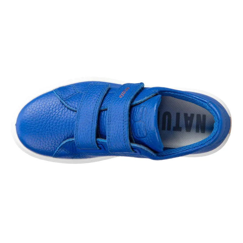 Blauw (71381201744)