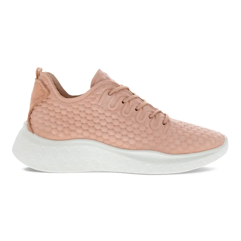 Pink (82525302658)