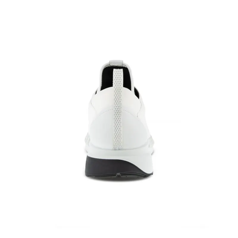 Wit (80382400007)