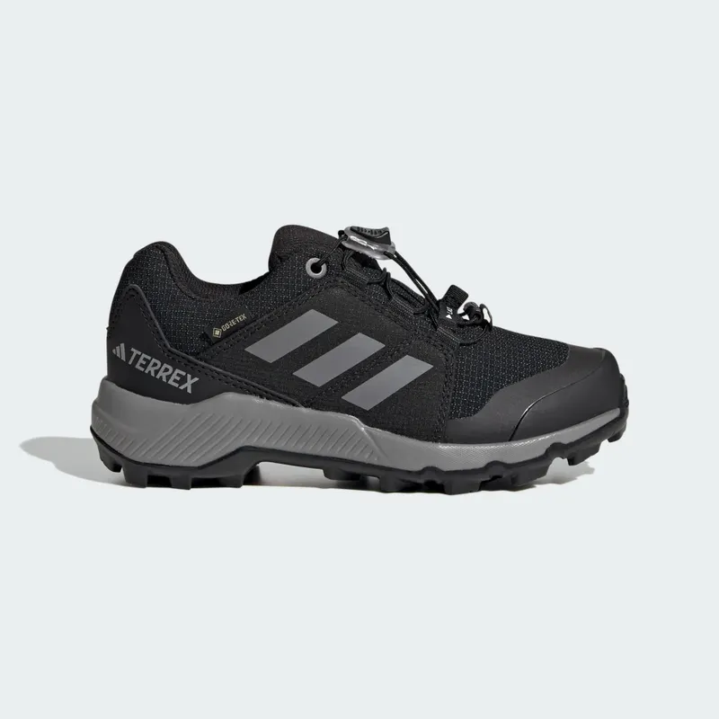 adidas Terrex GORE-TEX Hiking (IF7519)