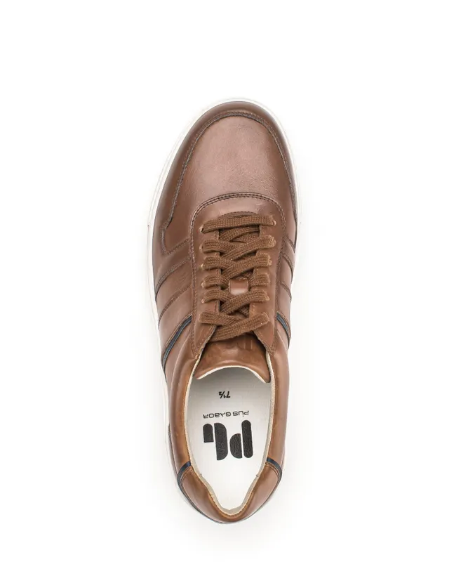 Gabor Sneaker low Braun (1040.13.01)
