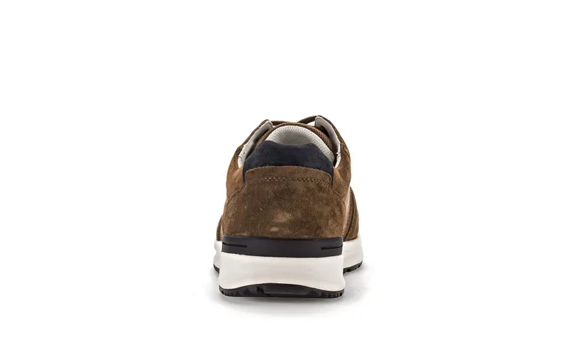 Gabor Sneaker low Braun (1007.11.23)