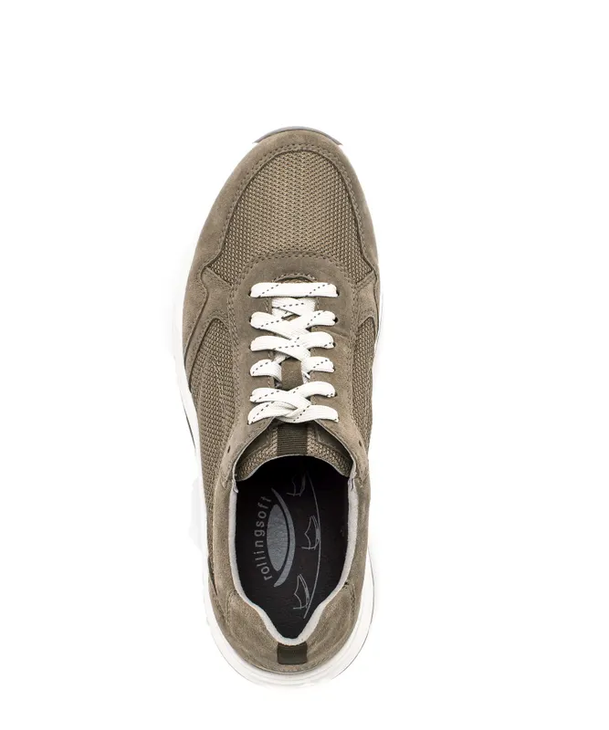 Gabor Sneaker low Beige (8002.13.03)