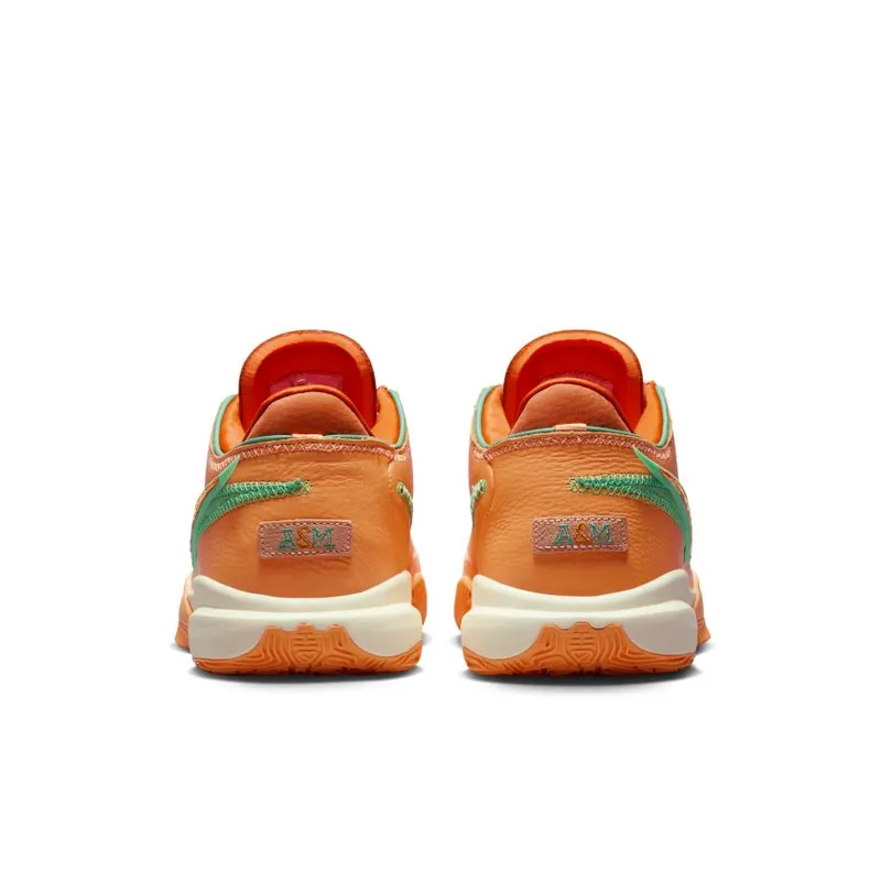 APB x Nike LeBron 20 ‘FAMU’ Peach Cream / Safety Orange-Stadium Green-Coconut Milk-Black (FN8263-800)