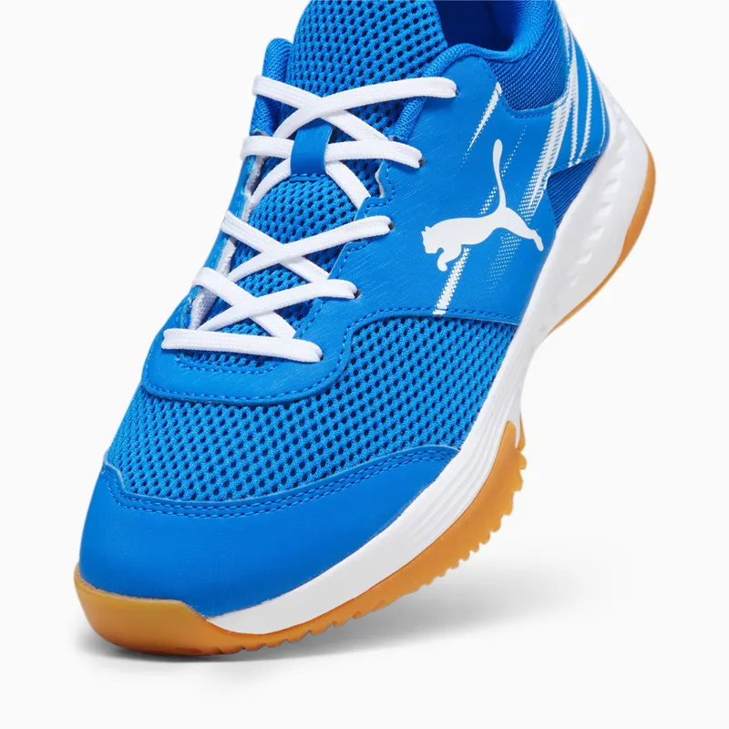 Puma Varion II zaalschoenen Wit/Blauw (107342-03)