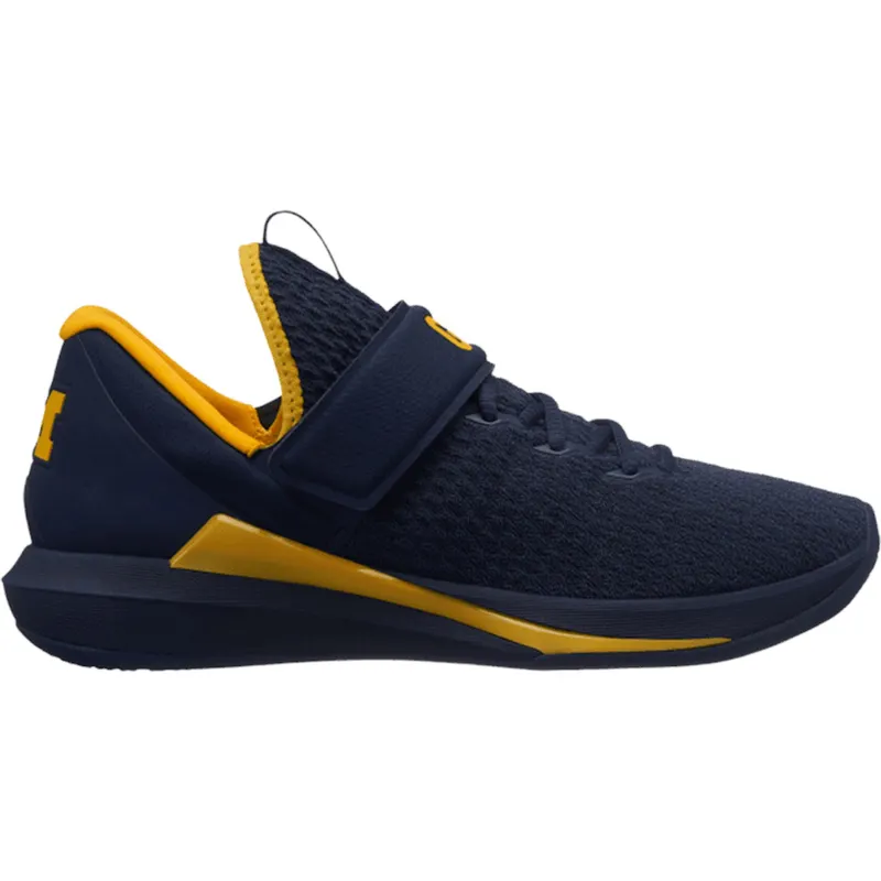 Jordan Trainer Michigan Wolverines (AR1940-400/AR1390-400)