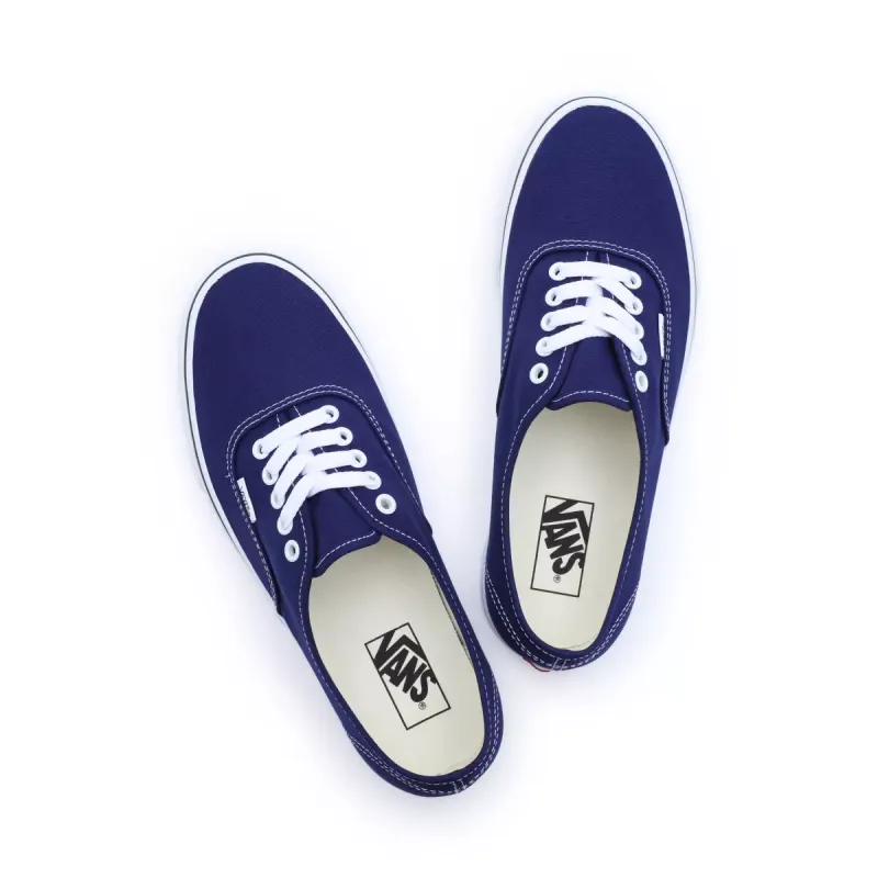 VANS Color Theory Authentic Blauw (VN0009PVBYM)