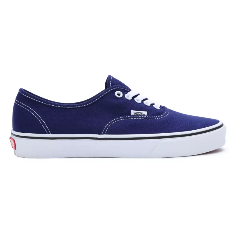 VANS Color Theory Authentic Blauw (VN0009PVBYM)