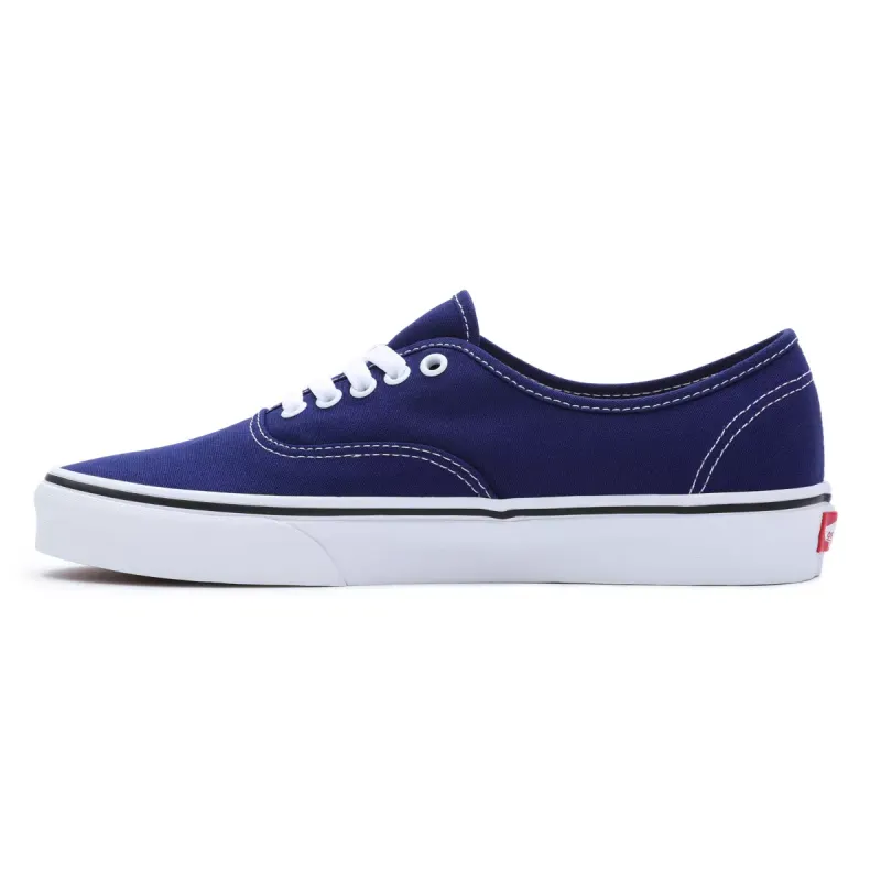VANS Color Theory Authentic Blauw (VN0009PVBYM)