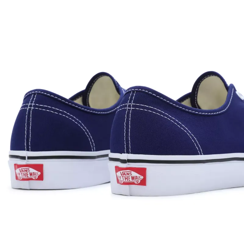 VANS Color Theory Authentic Blauw (VN0009PVBYM)