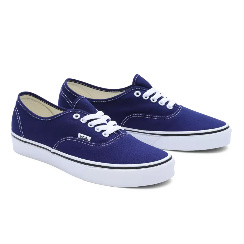 VANS Color Theory Authentic Blauw (VN0009PVBYM)