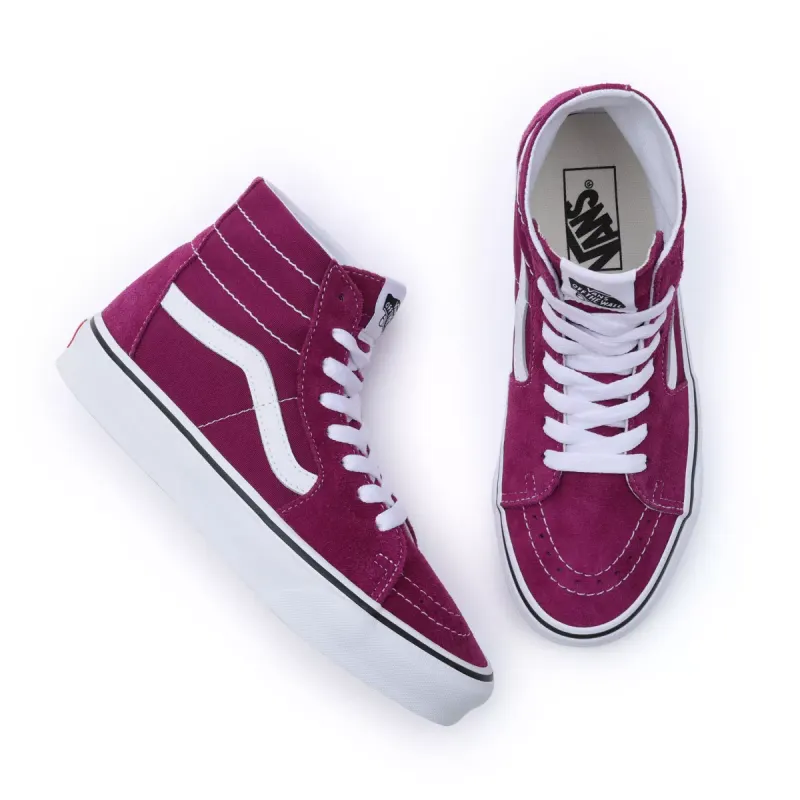 VANS Color Theory Sk8-hi Tapered Paars (VN0009QPDRV)