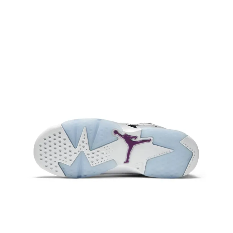 Jordan 6 Retro Grape (GS) (543390-127)