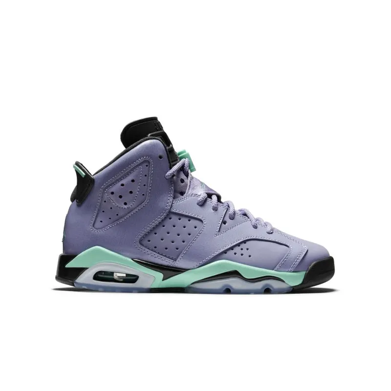 Jordan 6 Retro Iron Purple (GS) (543390-508)