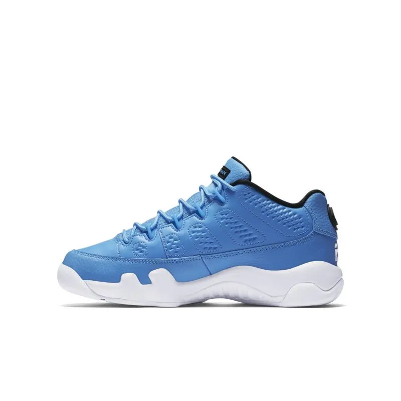 Jordan 9 Retro Low Pantone (GS) (833447-401)