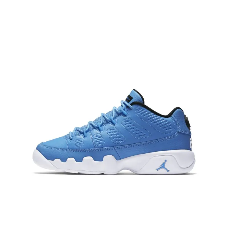 Jordan 9 Retro Low Pantone (GS) (833447-401)