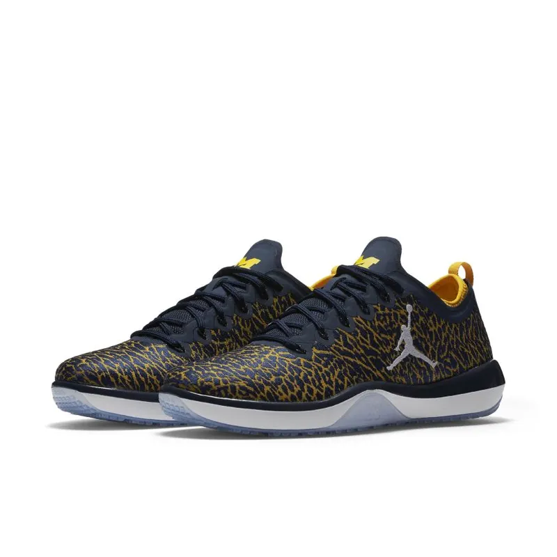 Jordan Trainer 1 Low Michigan (845403-420)