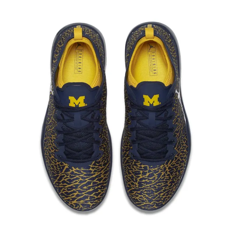 Jordan Trainer 1 Low Michigan (845403-420)