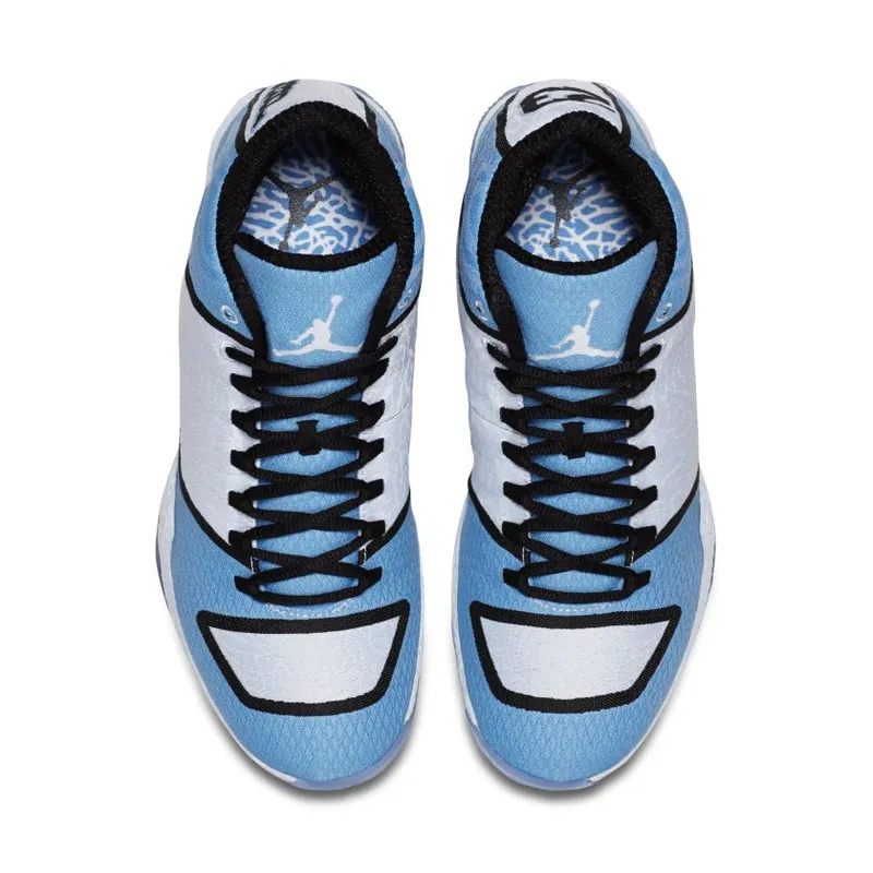 Jordan XX9 Legend Blue (695515-117)