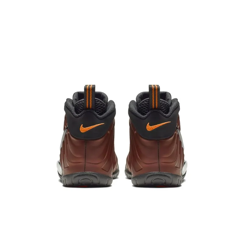 Nike Air Foamposite Pro Color Shift (GS) (644792-800)