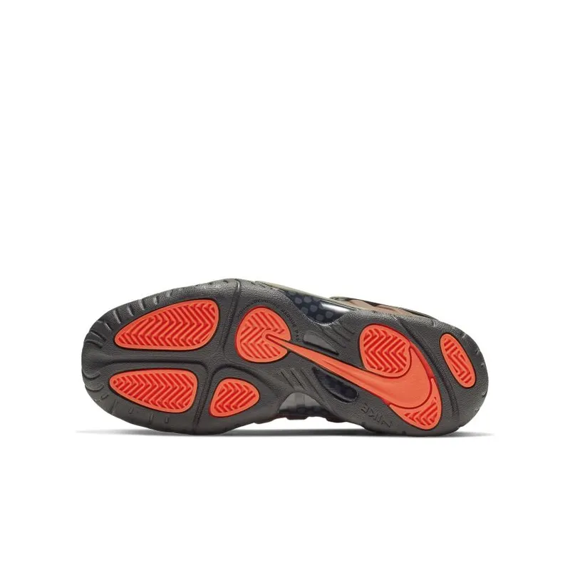 Nike Air Foamposite Pro Color Shift (GS) (644792-800)