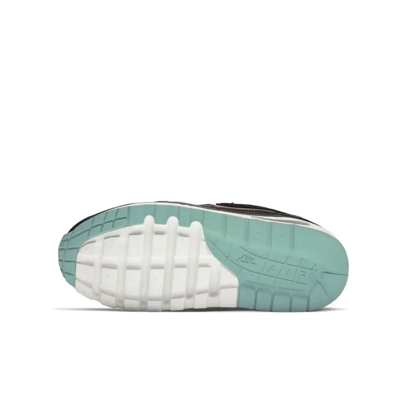 Nike Air Max 1 Have a Nike Day (GS) (AT8131-001)