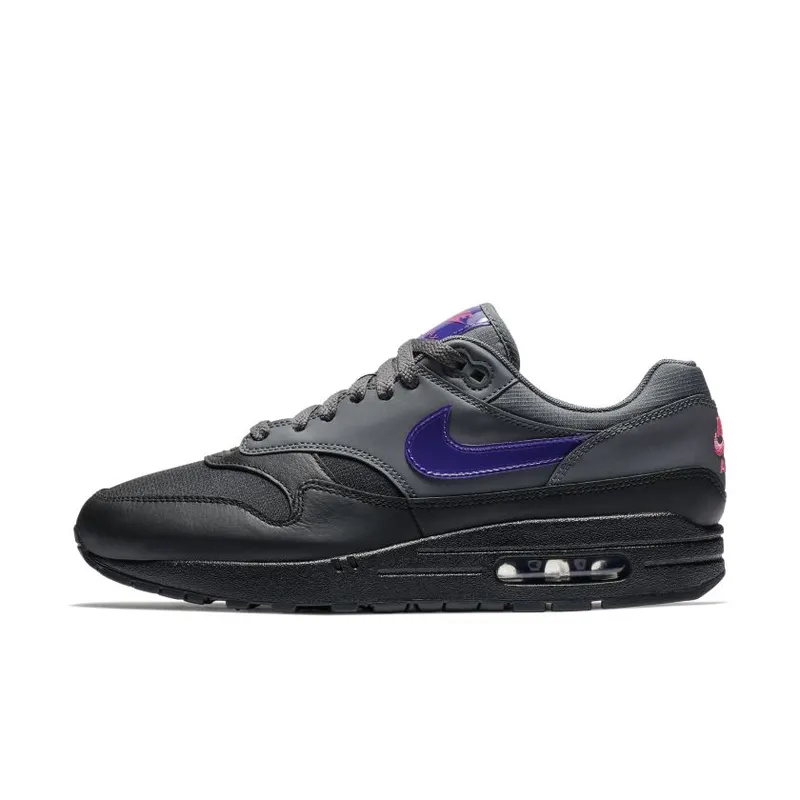 Nike Air Max 1 Ripstop Dark Grey (AR1249-002)