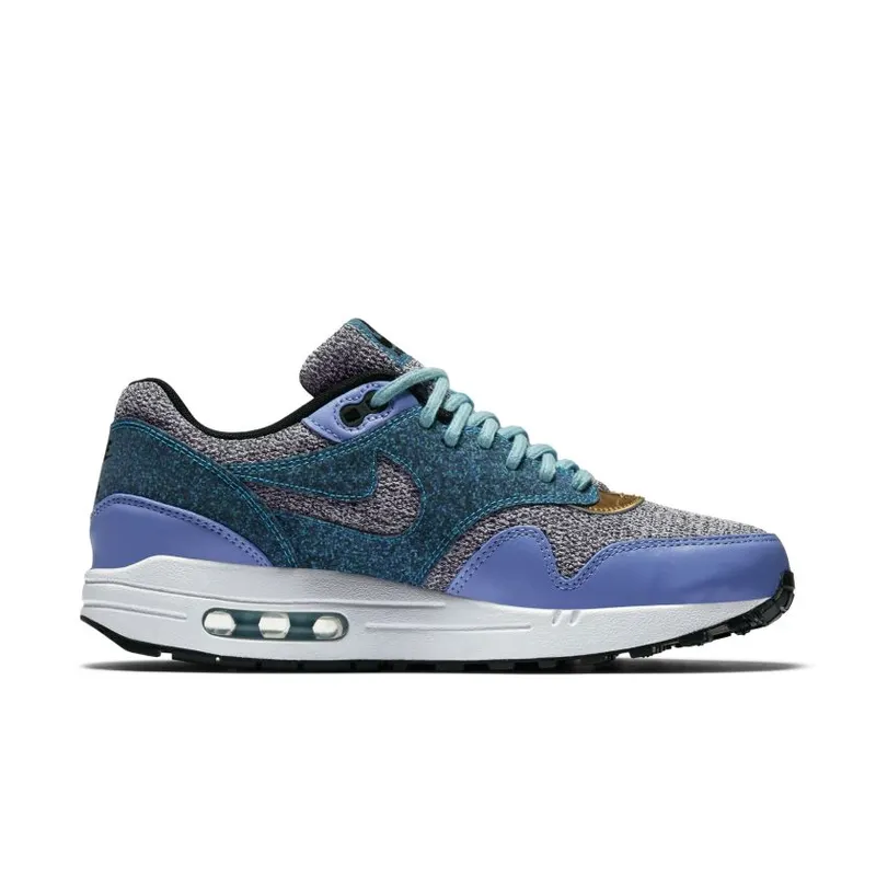 Nike Air Max 1 SE Black (Women’s) (881101-001)