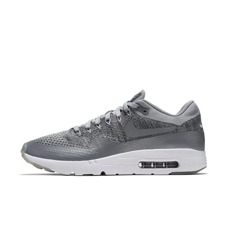 Nike Air Max 1 Ultra Wolf Grey (843384-001)