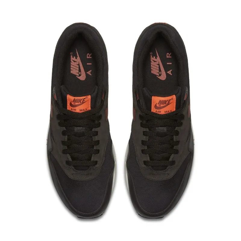 Nike Air Max 1 Velvet Brown (875844-202)