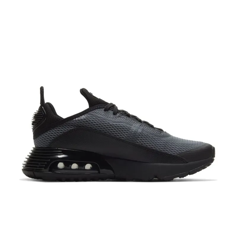 Nike Air Max 2090 Black Anthracite (GS) (CJ4066-001)